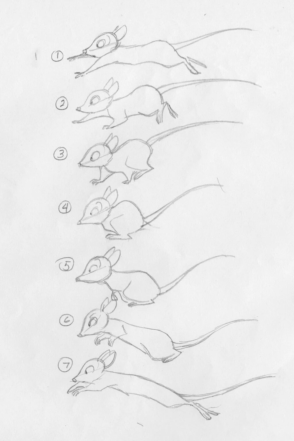 Движения мыши. Покадровое рисование. Зарисовка по кадрам. Рисование покадровой анимации. Раскадровка мыши.