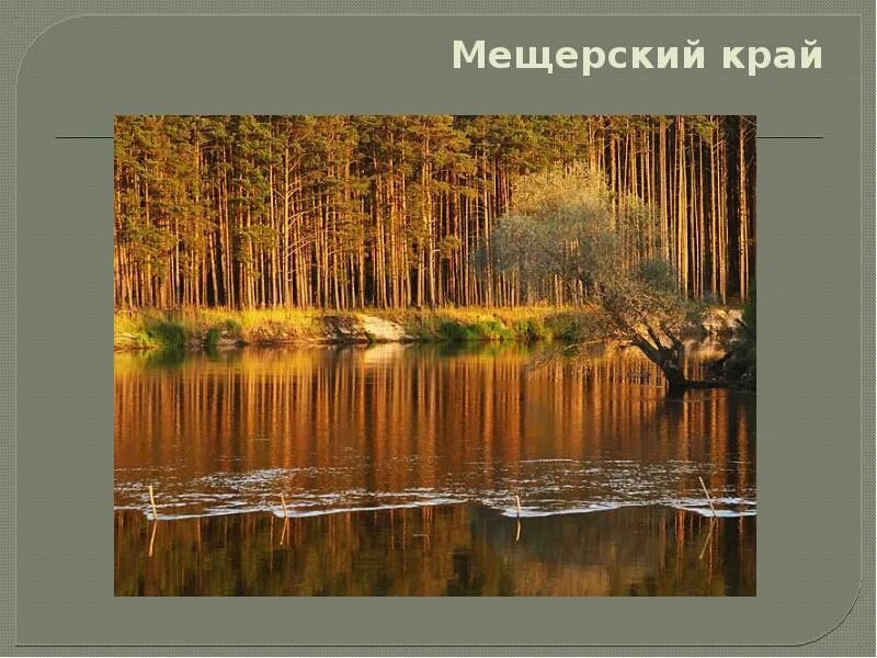 Мещерский край Паустовский. Мещёра Паустовский. Мещерский заповедник Паустовский. Мещера глазами Паустовского. Прелесть мещерского края