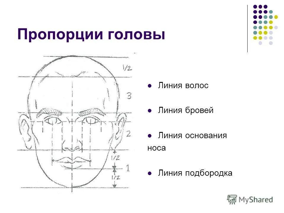 Конструкция головы человека схема. Портрет головы человека 6 класс. Портрет конструкция головы человека. Портрет схема рисунок пропорции головы.