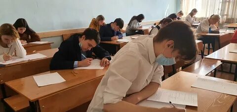 Дистант 247