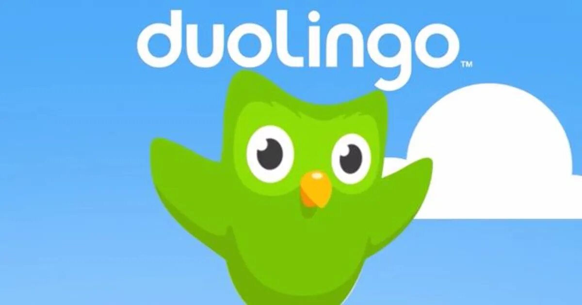 Аватар в дуолинго. Дуолинго. дуолинго картинки. duolingo рисунок. значок duolingo.