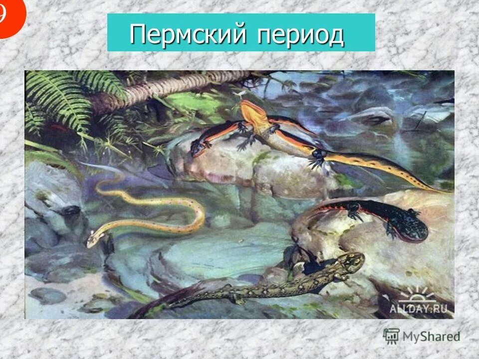 девятый период это. периоды развития математики. девятый период. девятый период это. девятый период это.