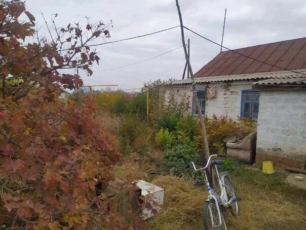 Погода в платовке. Платовка Новосергиевский район. Деревня Платовка Оренбургская область. Домики Оренбург. Платовская Лесная дача Новосергиевский район.