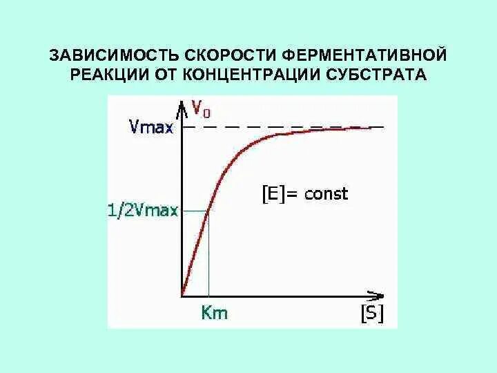 Зависимость скорости от концентрации вещества. Зависимость скорости реакции от концентрации. График скорости ферментативной реакции от концентрации субстрата. Скорость ферментативной реакции от концентрации субстрата. Зависимость скорости реакции от концентрации фермента.