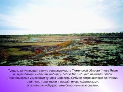 Зона тундры занимает