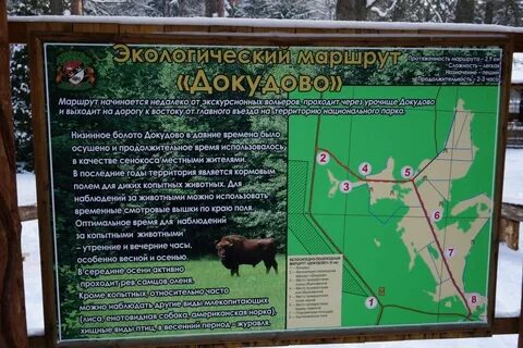 Беловежская пуща где находится