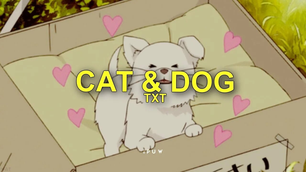 Тхт сат и дог. Cat Dog txt обложка. Txt Кэт и дог. Cat & Dog tomorrow.