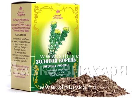 Золотом корне родиола розовая