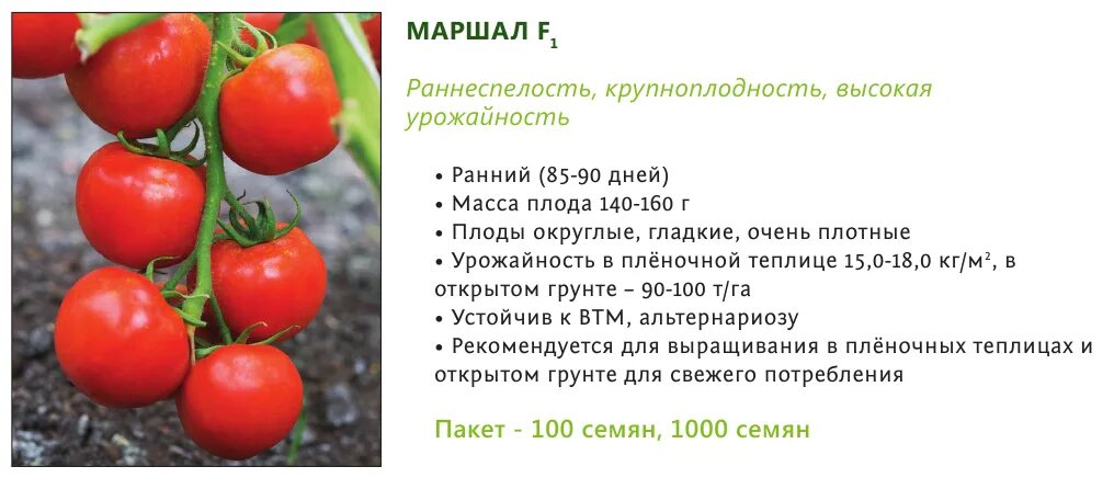 Томат маршал характеристика и описание