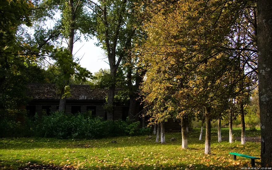 Села в климовском районе. С брахлов климовского района брянской области. Село могилевцы климовский район брянская область. Любечане климовский район. Усадьбы климовского района.