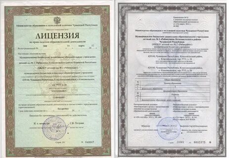 Электронное лицензирование