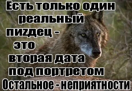 Под дата
