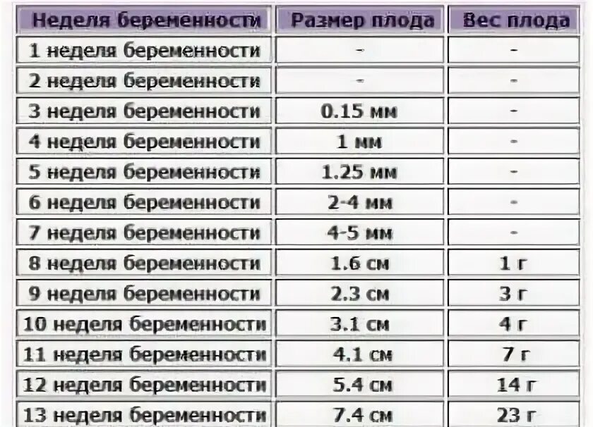 3 месяца сколько дней. Размер эмбриона в 6 недель акушерских. Размер эмбриона на 12 неделе беременности. Размер плода по неделям беременности таблица. Размер плода в 6 недель беременности норма таблица.