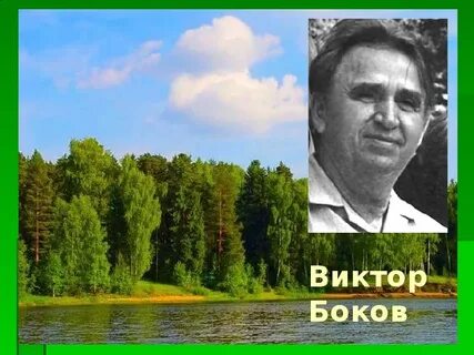 Боков фото