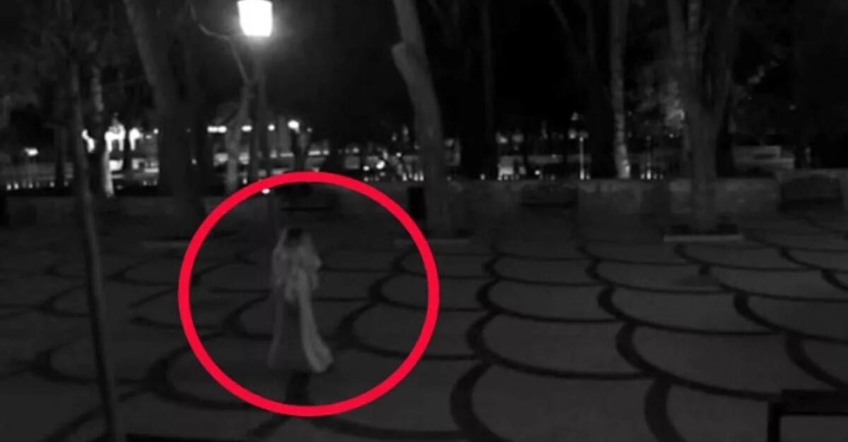 Баку япония дух мифология. Духи баку дух. Легенда о баку пожиратель снов. Баку демон пожиратель кошмаров. Баку пожиратель снов японская мифология.