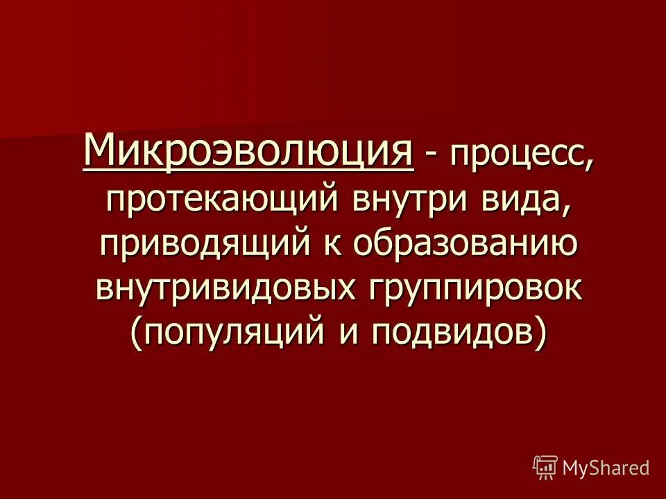 Процессы видообразования микроэволюция. Микроэволюция. Микроэволюция термины. Микроэволюционные процессы. Понятие о микроэволюции.