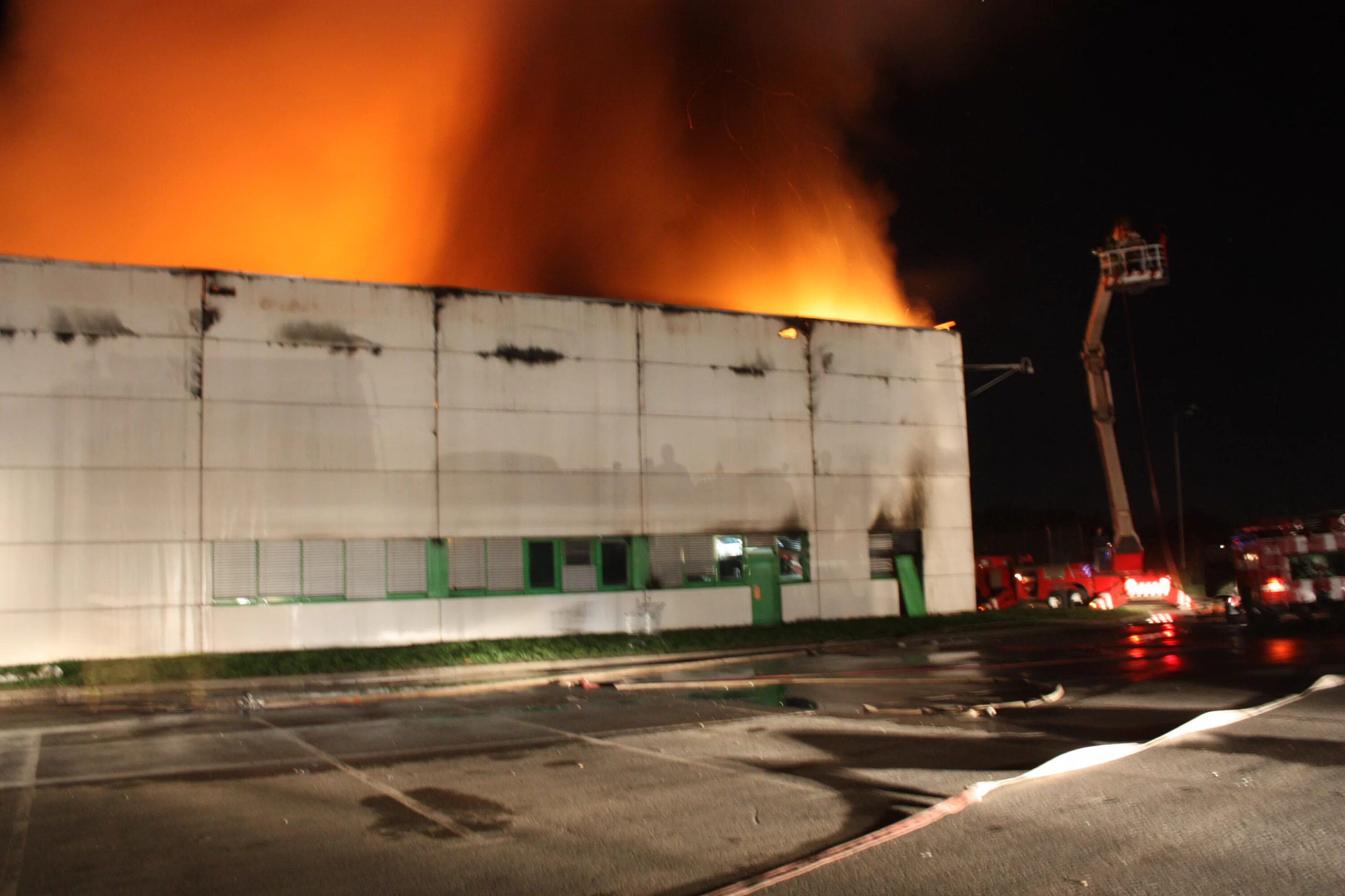 сгоревший лес. глобус горел. глобус горел. горящий глобус. пожар в глобусе во владимире.