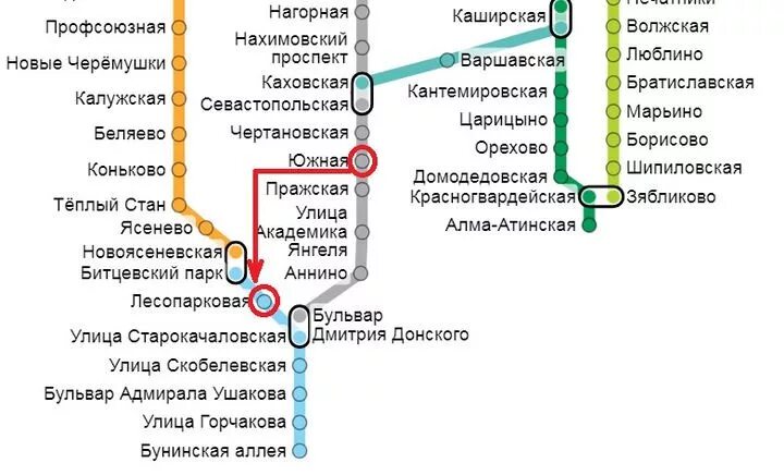 Дмитрия донского какая ветка