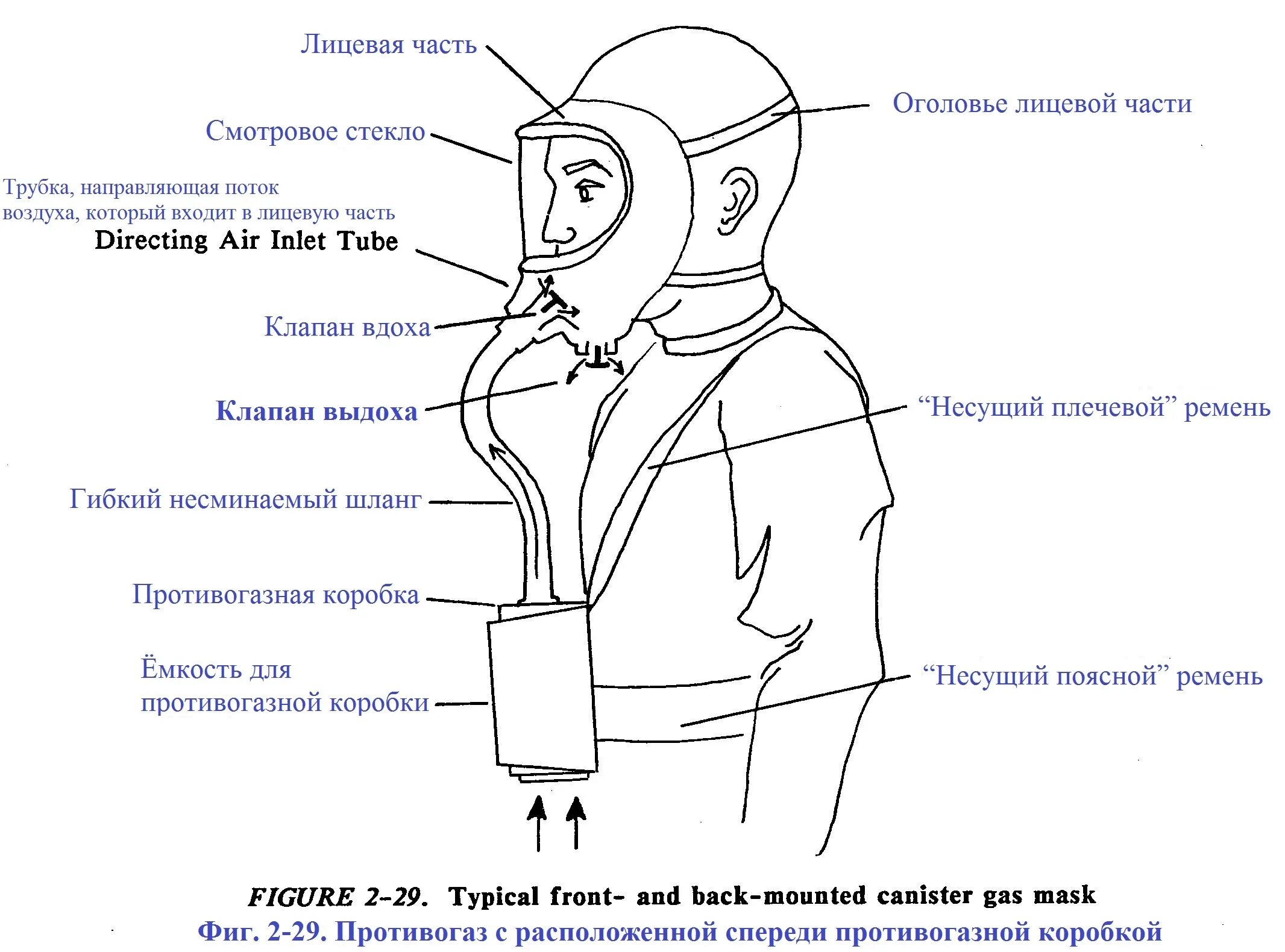 Строение противогаза ГП-5 схема. Фильтрующий противогаз схема. Противогаз строение схема. Противогаз чертеж. Противогаз носят в трех положениях