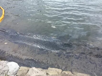 Выбросы в новороссийске