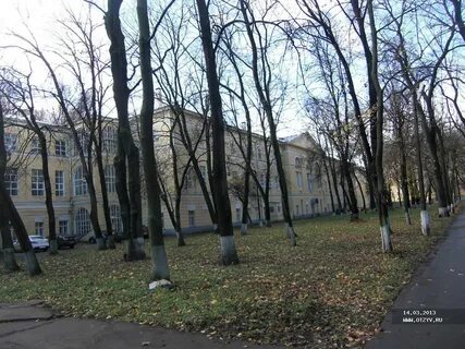 Туберкулезный москва