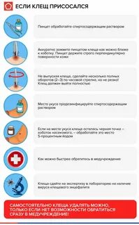 Обработать после клеща