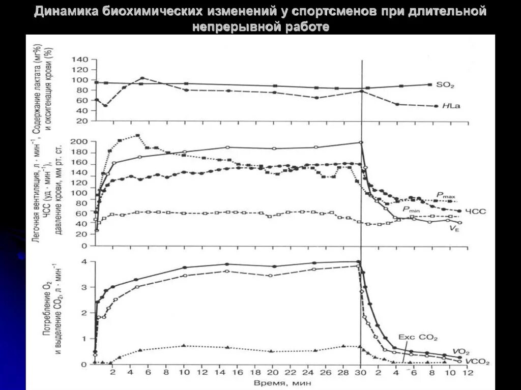 Биохимические основы выносливости спортсменов. Биохимические изменения. Биохимические показатели применяемые для оценки выносливости. Динамика биохимических кратко. Изменения крови у спортсменов