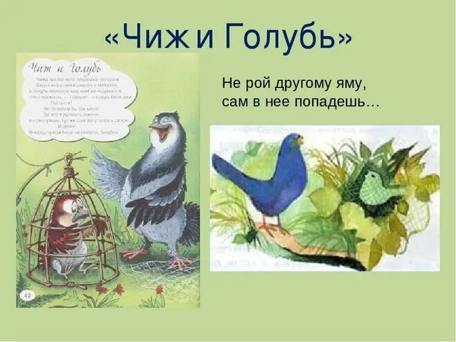 Крылов Чиж и голубь. Басни Ивана Андреевича Крылова Чиж и голубь. Басня крылова чижа захлопнула злодейка западня бедняжка