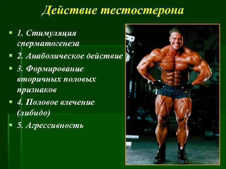 Тестостерон логотип. Тестостерон эмодзи. Тестостерон функции. Ароматаза у мужчин. Либидо на курсе тестостерона.