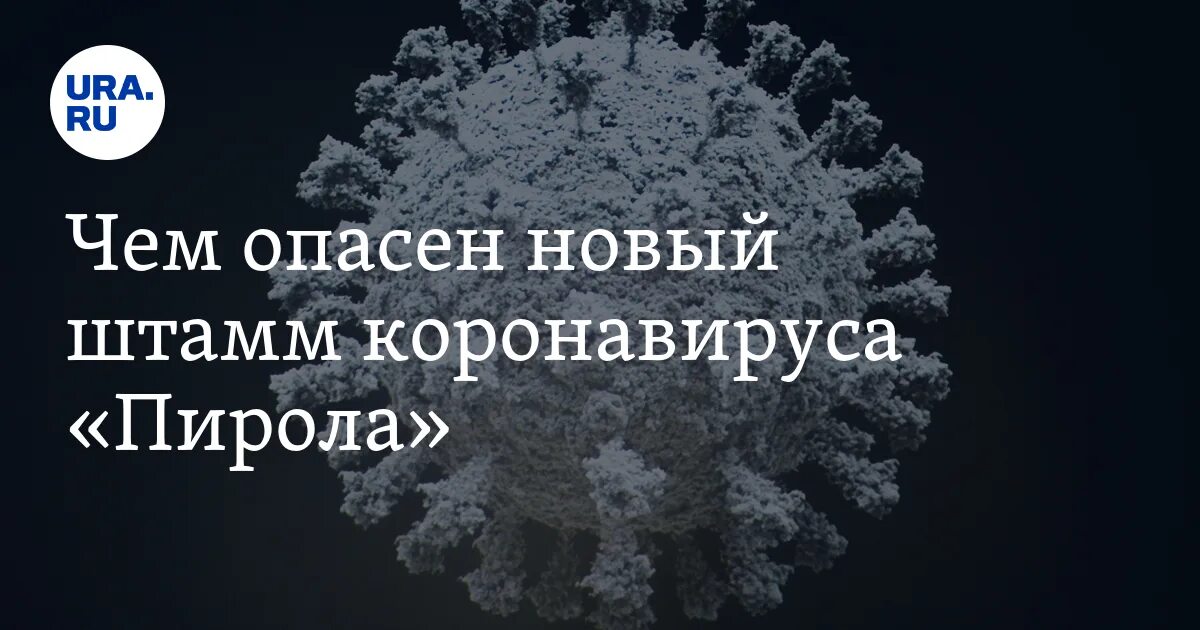 Чем опасен новый штамм коронавируса 2024. Новый штамм коронавируса красноярск. Чем опасен новый штамм коронавируса 2024. Ковид новый штамм. Чем опасен новый штамм коронавируса 2024.