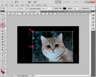 Как кадрировать в фотошопе