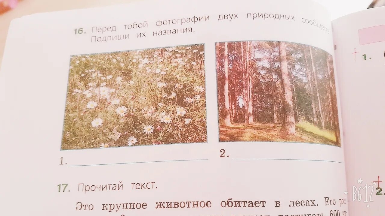 Тест природные сообщества 6 класс. Подпиши названия природных сообществ. подпишите названия природных сообществ. тест природные сообщества. рассмотрите рисунок подпишите названия природных сообществ.