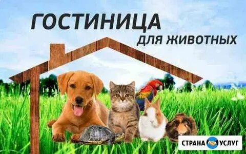 Передержка тюмень