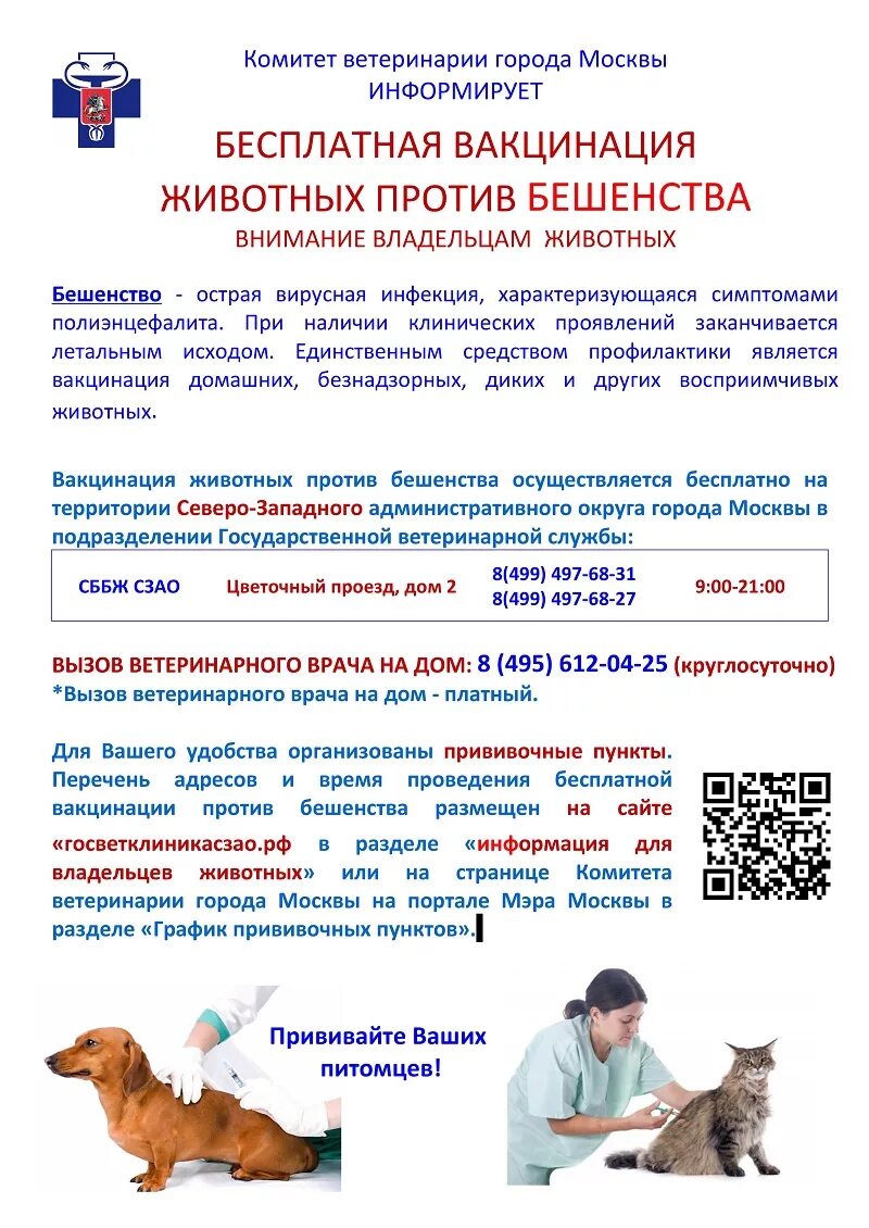 Прививка от гриппа. Приглашаем на вакцинацию. Внимание вакцинация. Вакцинация. Вакцинация домашних питомцев.