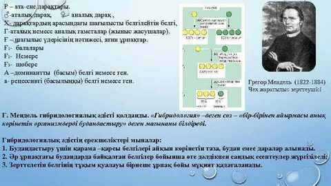 Әуесқойлық порно видеоларды қараңыз және жүктеңіз