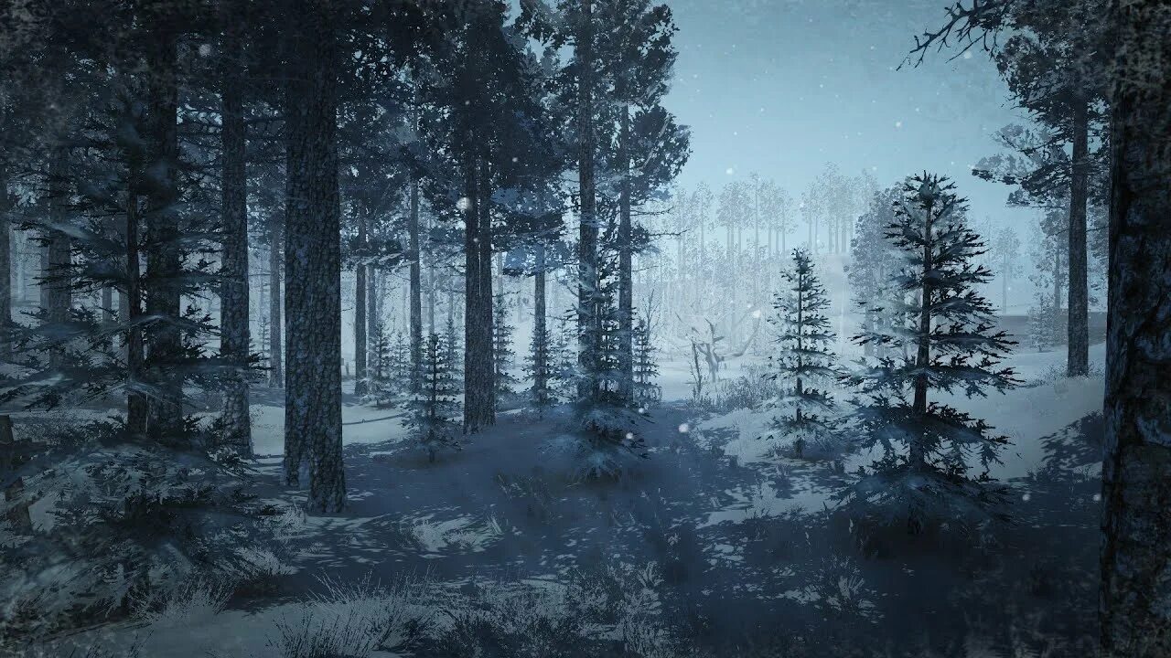 Barock project. R. Картинка альбома рейнболрайзинг. Сталкер sfz. Каталог last project.