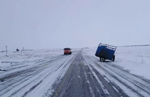 Дорога в бреды