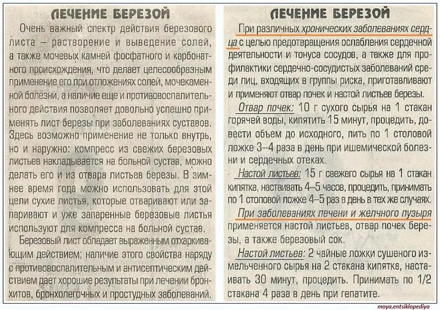 Пыленос