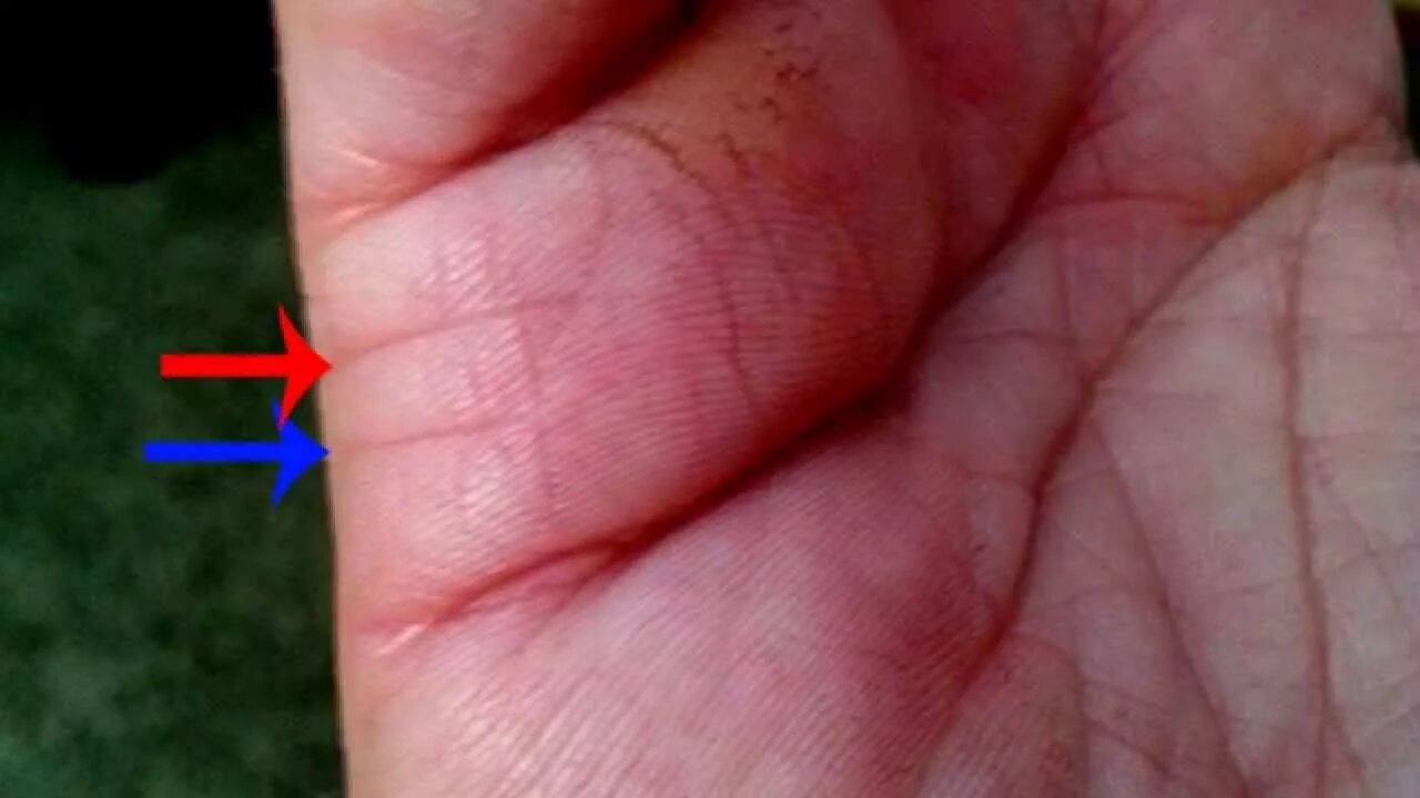 Как узнать сколько будет детей у женщины Краевое государственное бюджетное общео