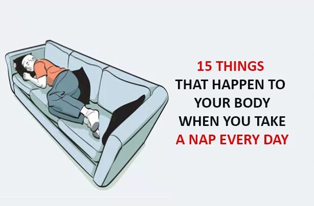 Take a nap. Nap перевод. Take a nap перевод. Nap nap картинки.