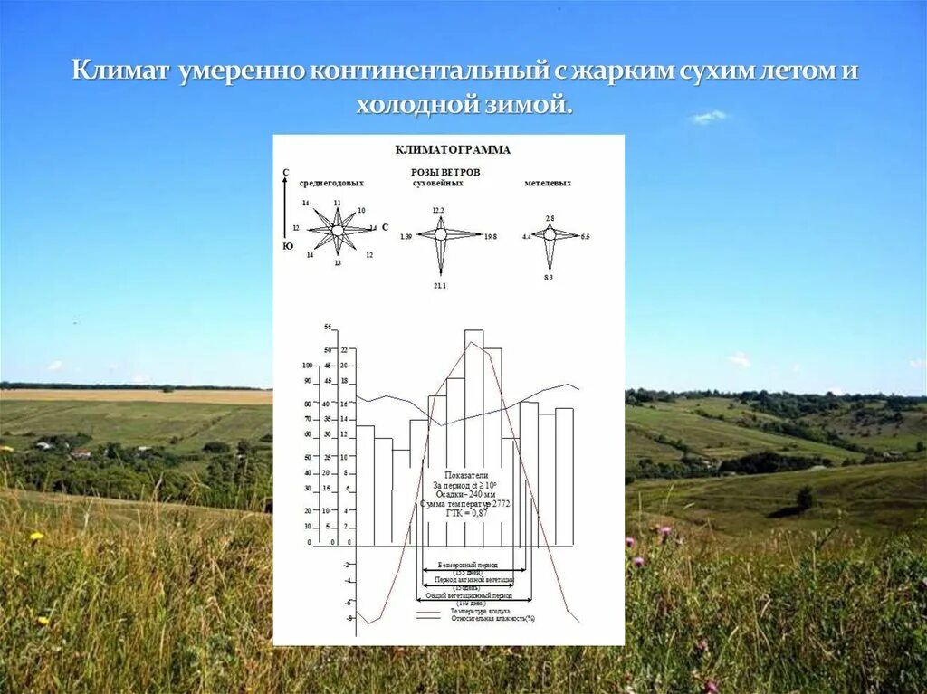 Умеренно континентальный климат. Умеренно континентальный климат лето и зима. Умеренный умеренно континентальный. Умеренный умеренно континентальный климат. Континентальный климат температура летом