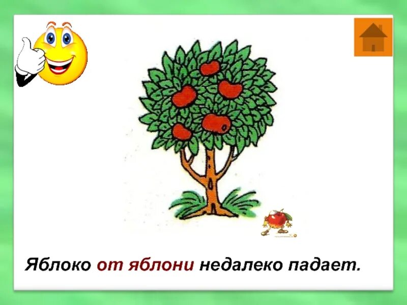 Яблоко от яблони недалеко падает значение пословицы. Яблоко от яблони недалеко падает. Яблочко от яблоньки недалеко падает. Пословица яблоко от яблони недалеко падает. Поговорка яблоко от яблони недалеко падает.