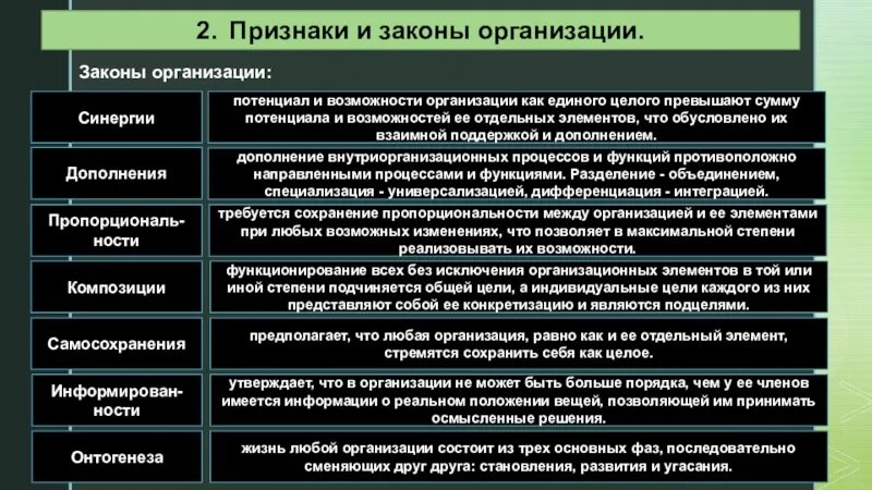 Общий менеджмент двух компаний. Возможности организации. Большой потенциал как понять. Организация и ее потенциал