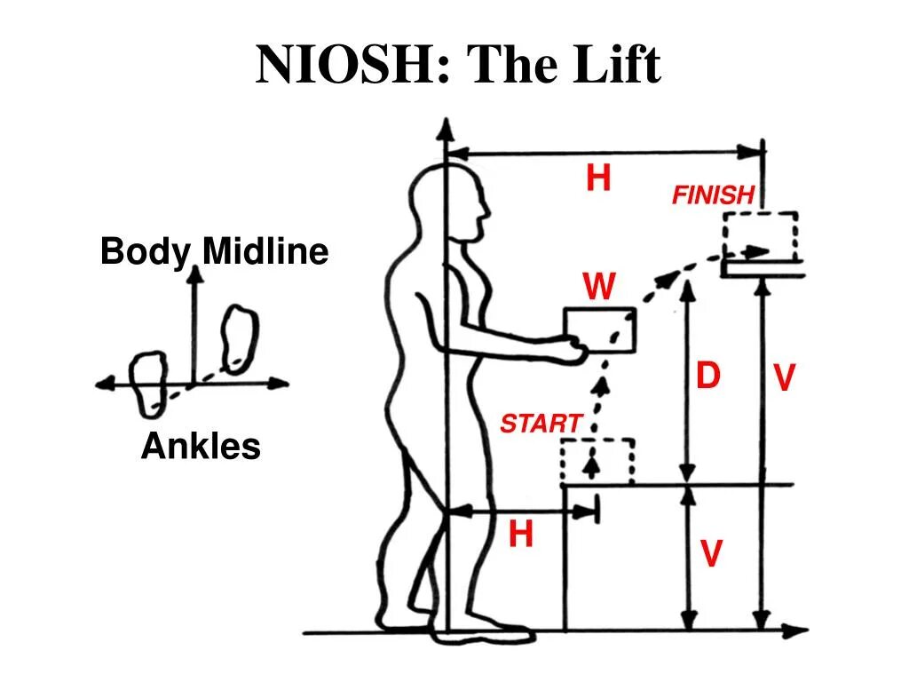 Is getting a lift. NIOSH вектор. Trunk Lift Errors. Get into the Box for Cross.
