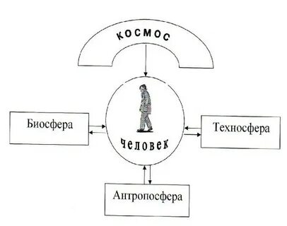 Биосфера и техносфера