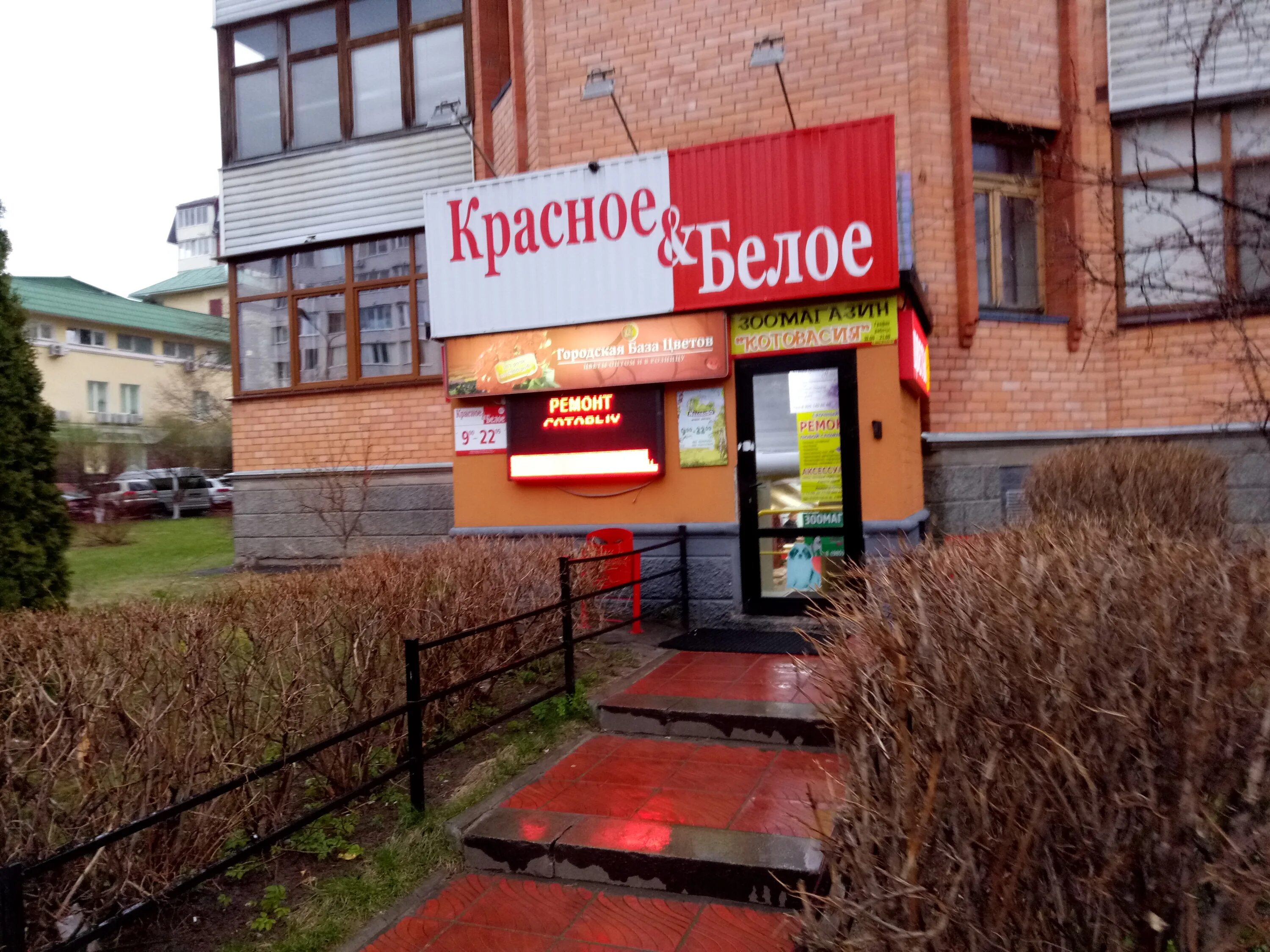 Пионерская 24к2. Пионерская 3 волжский. Международный юридический институт одинцово. Московская 48. Пионерская 29 стр 2 железнодорожный.
