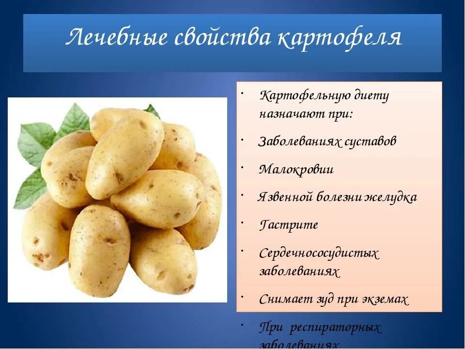 Можно есть сырой картофель. Картофель. Полезные свойства картофеля. Полезные качества картофеля. Чем полезен картофель для организма.