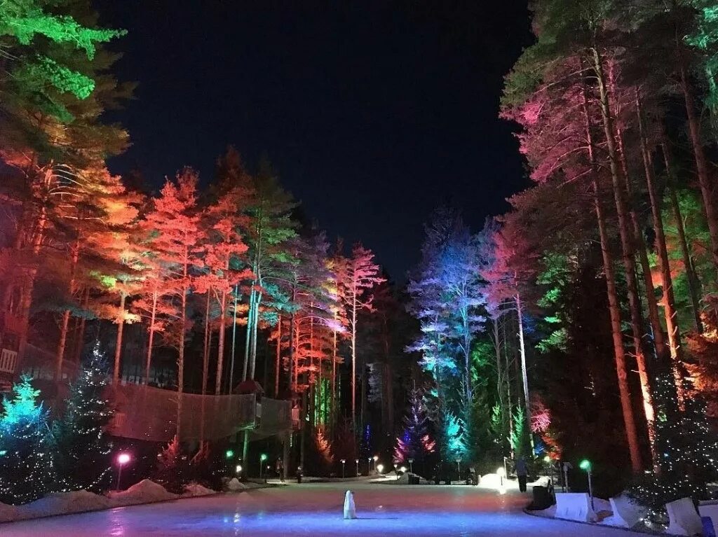 Лесной каток в охта парке. Лесной каток в охта парке. Каток в охта парке. Охта-парк санкт-петербург лесной каток. Каток в лесу санкт-петербург охта парк.