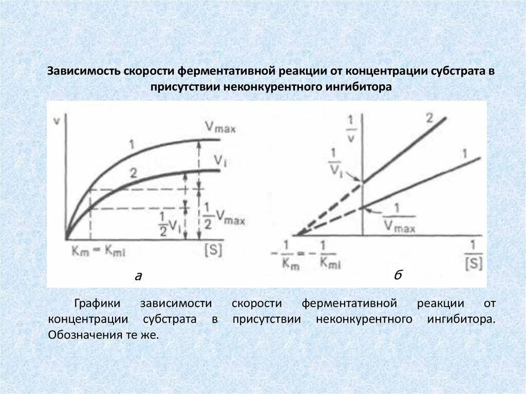 Скорость реакции зависит от концентрации. Зависимость скорости реакции от концентрации субстрата. зависимость ферментативной реакции от концентрации. зависимость концентрации реакции от скорости реакции. зависимость ферментативной реакции от концентрации субстрата.