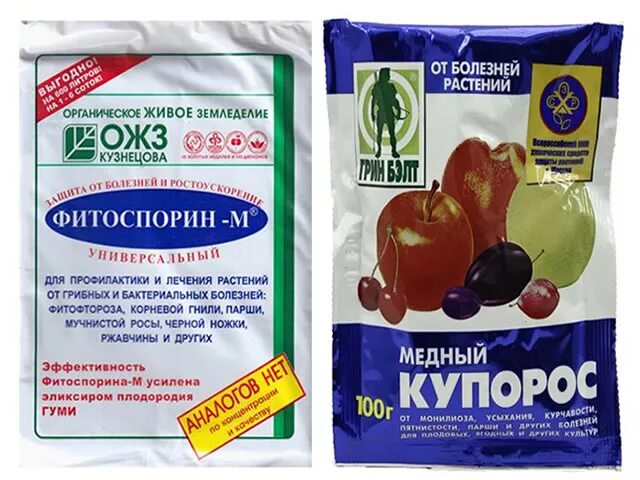 Можно фитоспорином обработать клубнику. Фитоспорин медный купорос. Фитоспорином обрабатывают клубнику. Химические препараты для обработки клубники. Фитоспорин для пересадки клубники.